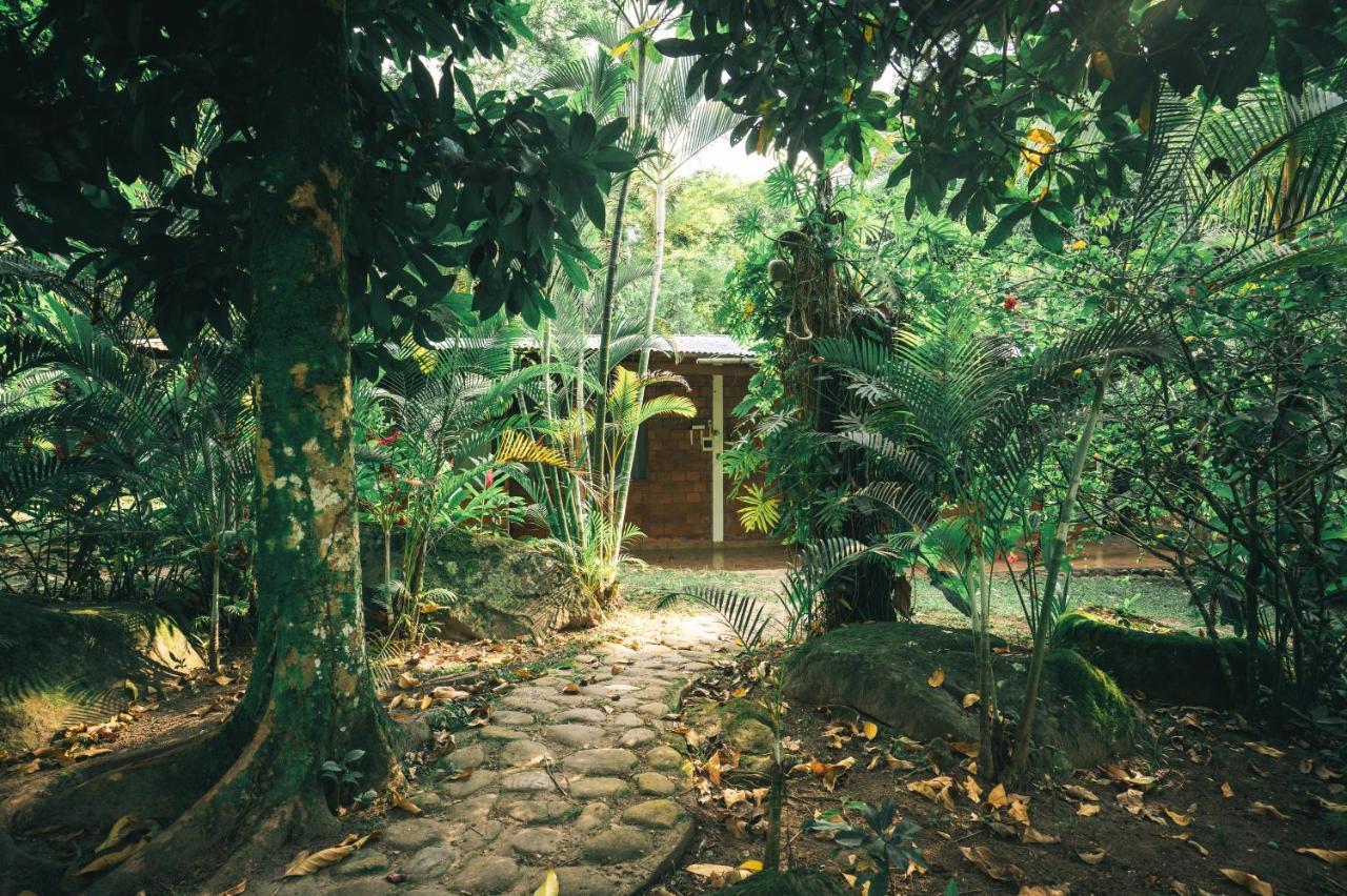 Huingos Eco Lodge Tarapoto Ngoại thất bức ảnh