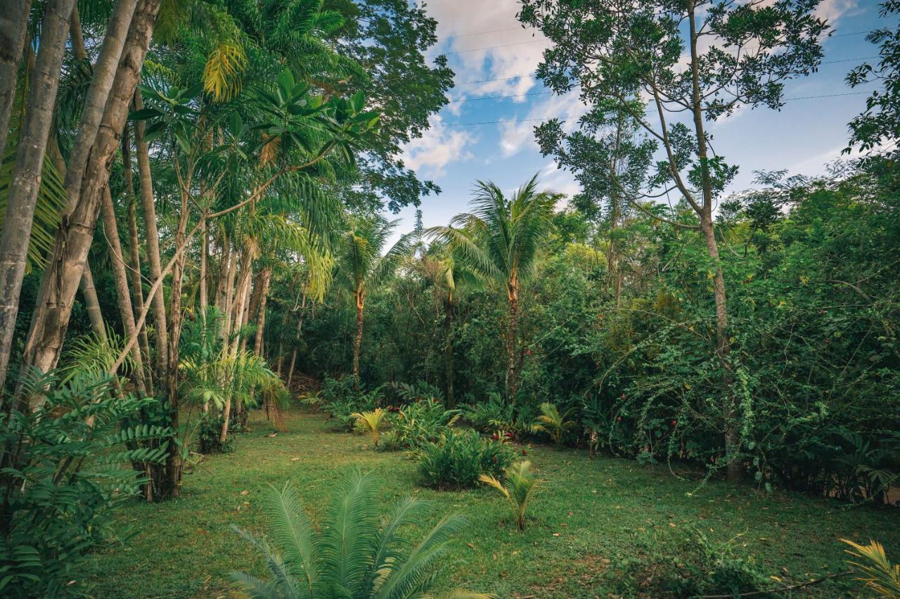 Huingos Eco Lodge Tarapoto Ngoại thất bức ảnh