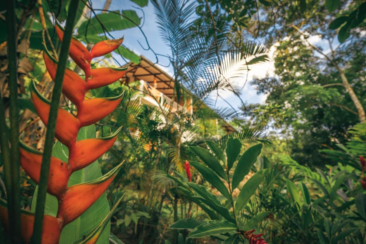 Huingos Eco Lodge Tarapoto Ngoại thất bức ảnh