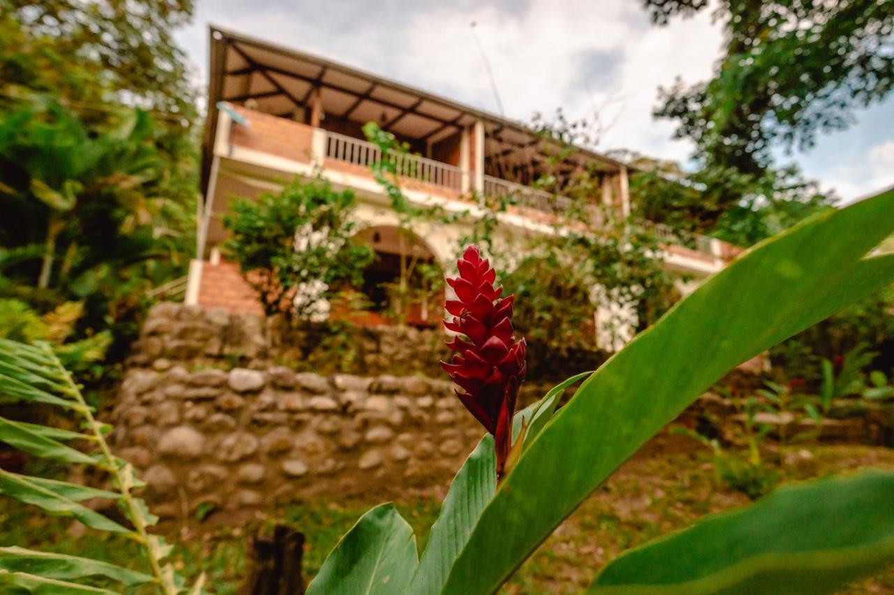 Huingos Eco Lodge Tarapoto Ngoại thất bức ảnh