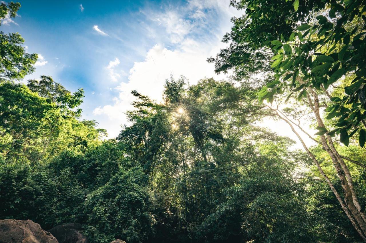 Huingos Eco Lodge Tarapoto Ngoại thất bức ảnh