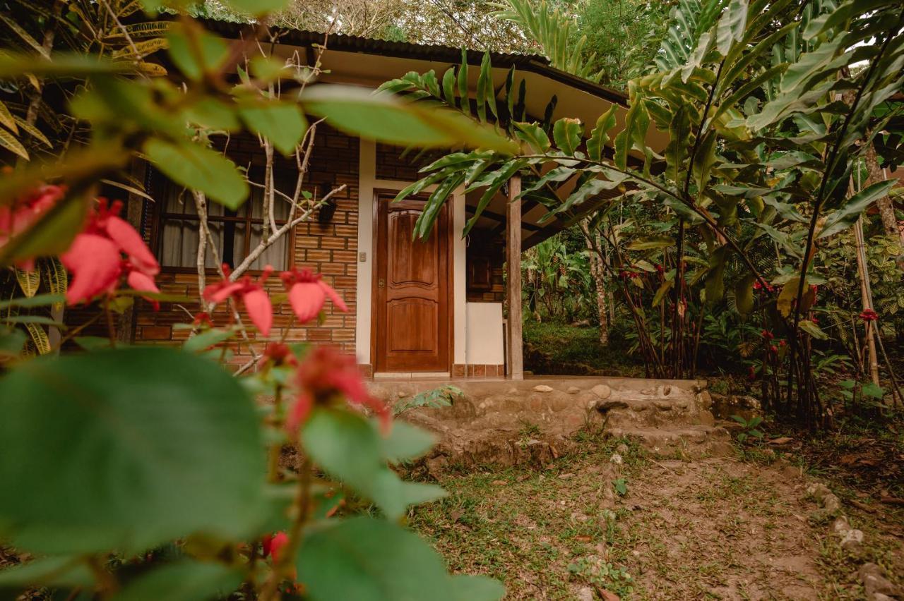 Huingos Eco Lodge Tarapoto Ngoại thất bức ảnh
