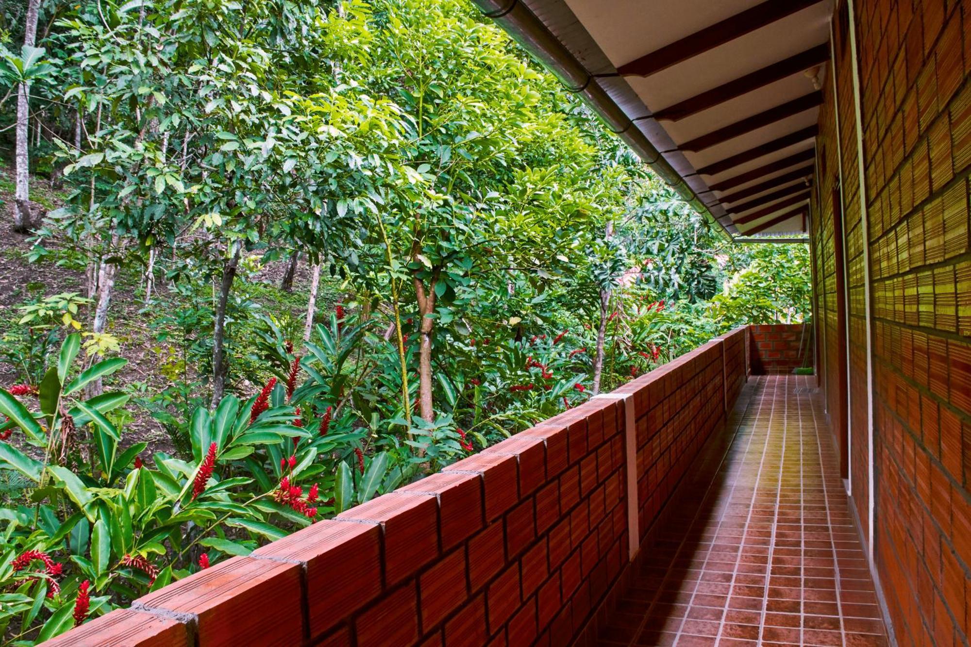 Huingos Eco Lodge Tarapoto Ngoại thất bức ảnh
