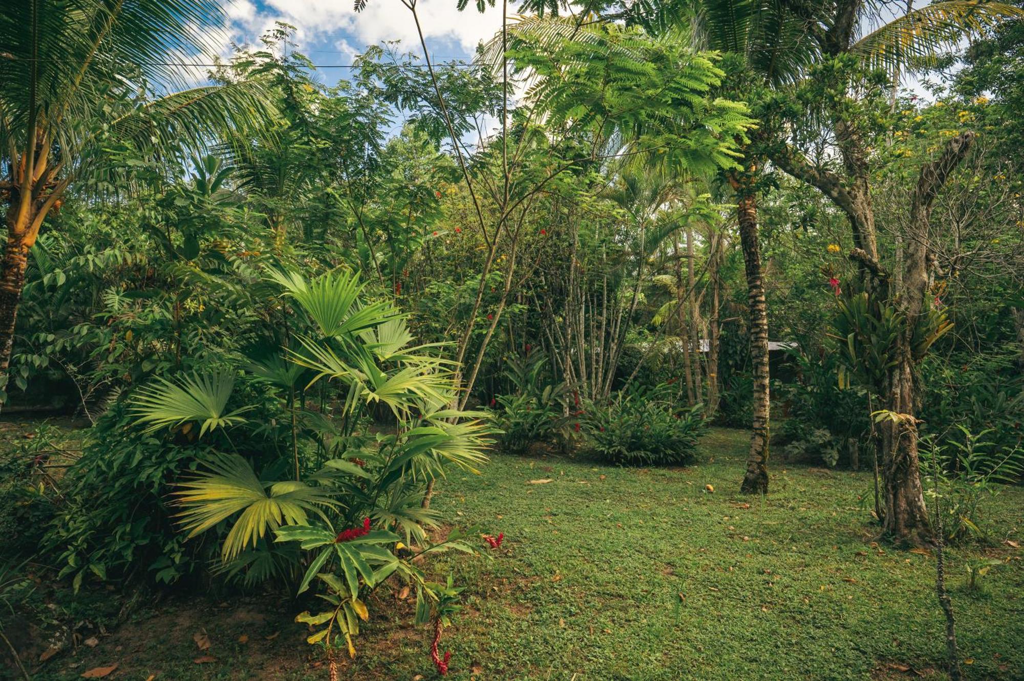 Huingos Eco Lodge Tarapoto Ngoại thất bức ảnh