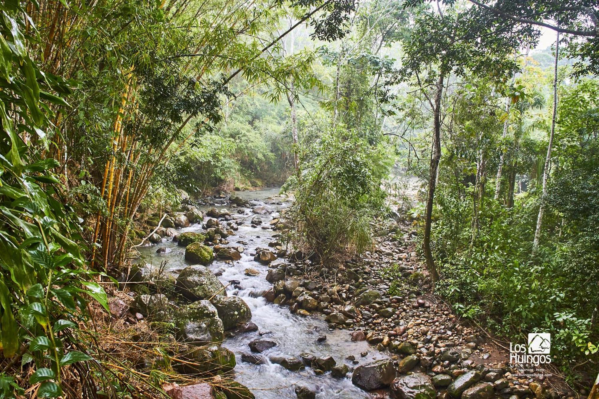 Huingos Eco Lodge Tarapoto Ngoại thất bức ảnh