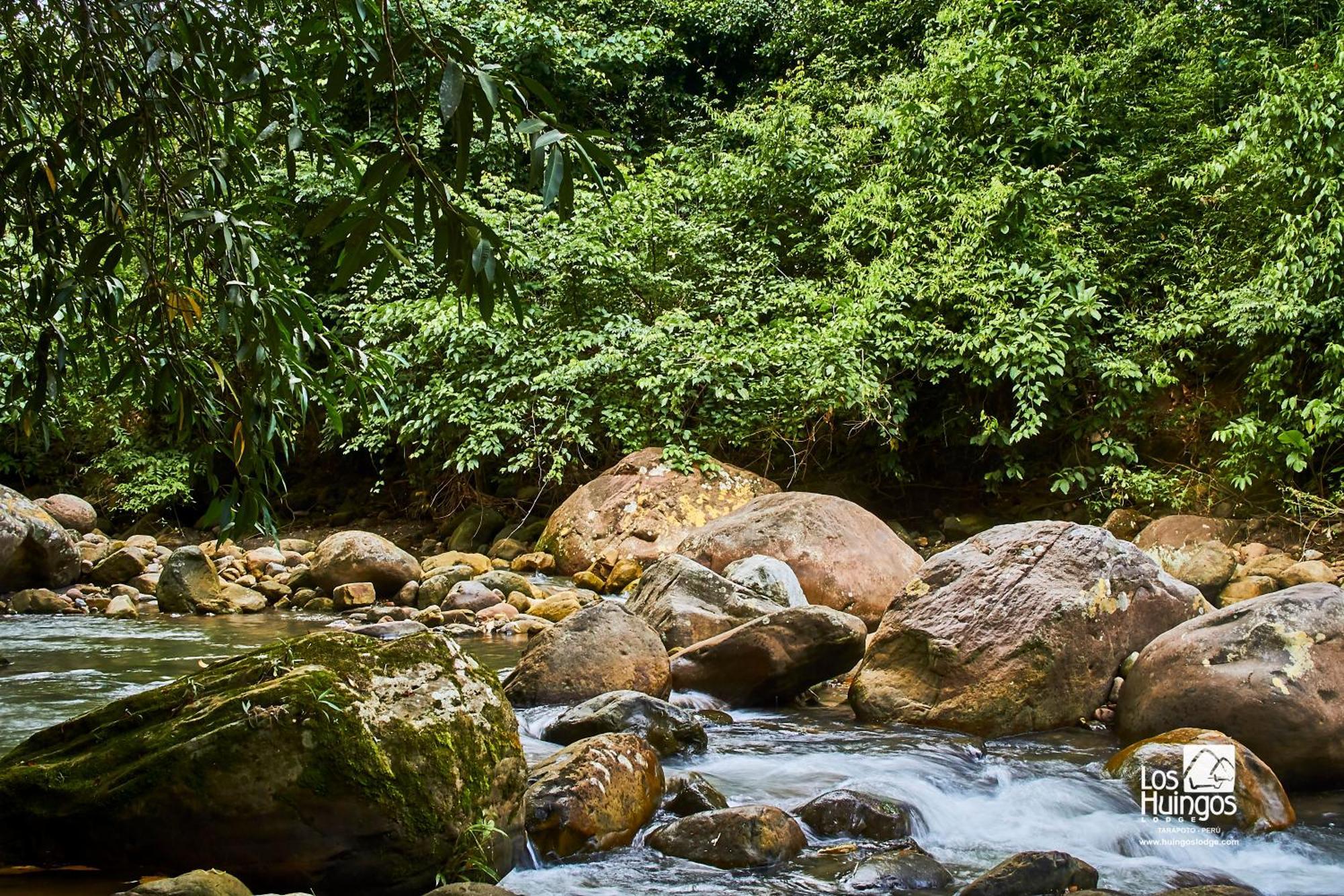 Huingos Eco Lodge Tarapoto Ngoại thất bức ảnh