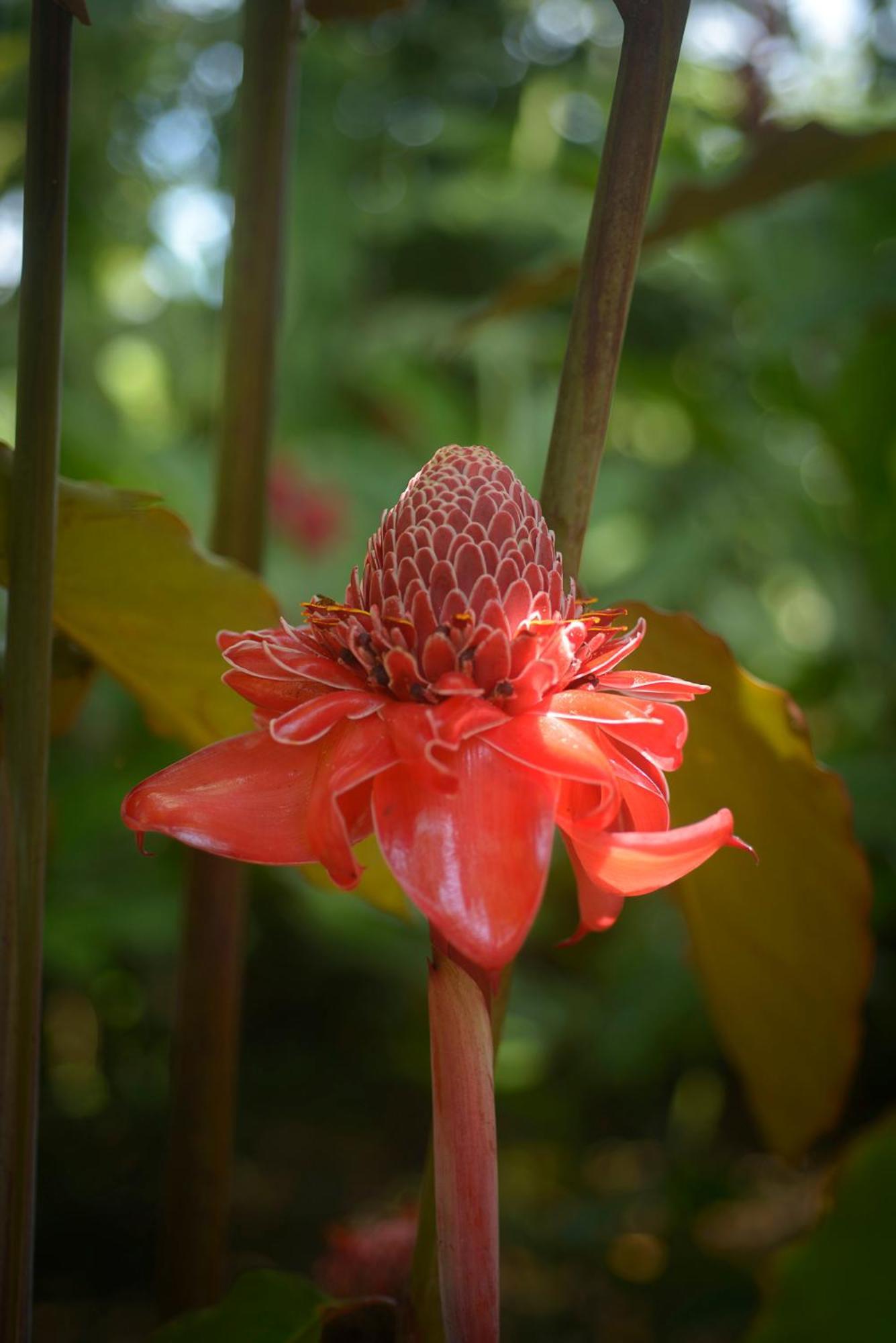 Huingos Eco Lodge Tarapoto Ngoại thất bức ảnh